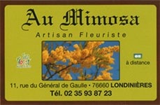 Au Mimosa